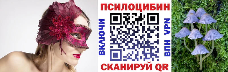 Галлюциногенные грибы мицелий цена Малмыж